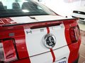 Mustang 野马 GT500 MT 豪华型 2012款图片