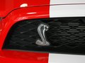 Mustang 野马 GT500 MT 豪华型 2012款图片