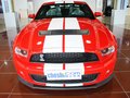 Mustang 野馬 GT500 MT 豪華型 2012款圖片