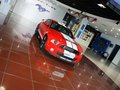 Mustang 野马 GT500 MT 豪华型 2012款图片