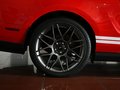 Mustang 野馬 GT500 MT 豪華型 2012款圖片