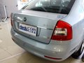 明锐 2012款 五周年典藏版图片