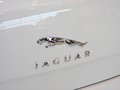 捷豹XJ 2013款 XJL 3.0SC AT 全景商務(wù)版圖片