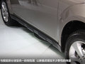 傲虎 图片