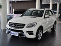 奔驰M级 2012款 ML300图片