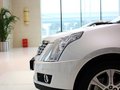 凯迪拉克SRX 凯迪拉克SRX 3.0 AT 舒适型 2013款图片