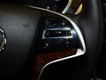 凱迪拉克SRX 凱迪拉克SRX 3.0 AT 舒適型 2013款圖片