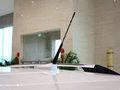 凯迪拉克SRX 凯迪拉克SRX 3.0 AT 舒适型 2013款图片