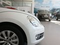 甲壳虫 1.4TSI 舒适型 2013款图片