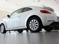 甲壳虫 1.4TSI 舒适型 2013款图片