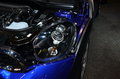 MINI PACEMAN MINI PACEMAN图片