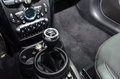 MINI PACEMAN MINI PACEMAN图片