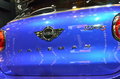 MINI PACEMAN MINI PACEMAN图片