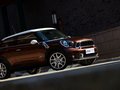 MINI PACEMAN 2013款 PACEMAN COOPER图片