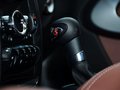 MINI PACEMAN 2013款 PACEMAN COOPER图片