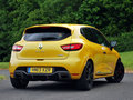 Lutecia 2013款 Clio图片