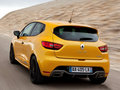 Lutecia 2013款 Clio图片