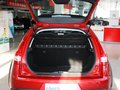 世嘉 2013款 世嘉CROSS 1.6L AT图片