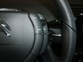 世嘉 2013款 全新世嘉兩廂 CROSS 1.6L AT 圖片