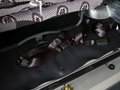 五菱之光 2010款 五菱之光 1.2L MT 標(biāo)準(zhǔn)型I短車身圖片
