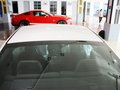Mustang 野馬 2013款圖片