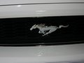 Mustang 野馬 2013款圖片