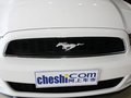 Mustang 野馬 2013款圖片