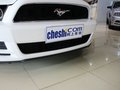 Mustang 野馬 2013款圖片