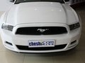 Mustang 野馬 2013款圖片