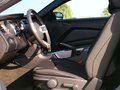 Mustang 野馬 2013款圖片
