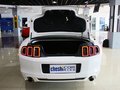 Mustang 野馬 2013款圖片