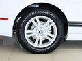 Mustang 野馬 2013款圖片