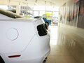 Mustang 野馬 2013款圖片