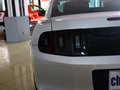 Mustang 野马 2013款图片