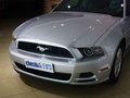 Mustang 野马 2013款图片