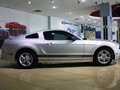 Mustang 野馬 2013款圖片