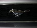 Mustang 野馬 2013款圖片