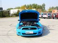Mustang 野馬 2013款圖片