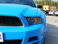 Mustang 野馬 2013款圖片