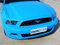 Mustang 野馬 2013款圖片