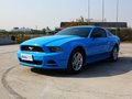 Mustang 野马 2013款图片