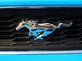 Mustang 野馬 2013款圖片