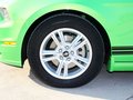 Mustang 野马 2013款图片