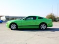 Mustang 野马 2013款图片