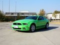 Mustang 野馬 2013款圖片