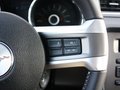 Mustang 野馬 2013款圖片