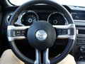 Mustang 野马 2013款图片