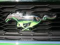 Mustang 野馬 2013款圖片