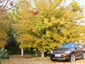 宝马X1 X1 2.0 AT 运动设计套装 5座 2013款图片