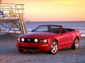 Mustang 2004款 野马敞篷版图片